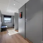 Comfort 3*